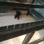 etsy2