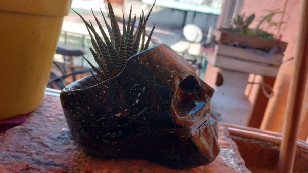Molde MACETA Calavera GRANDE STL Para impresión 3D